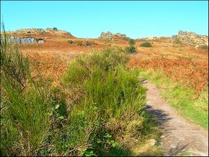 chemin des cretes magnifiques en automne