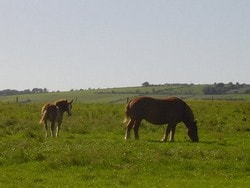 gite en bretagne proche de la nature