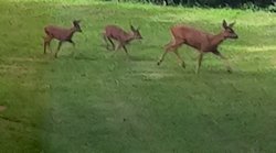 louer gite proche de la nature en Bretagne