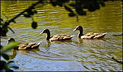 balades au bord de l'eau en bretagne