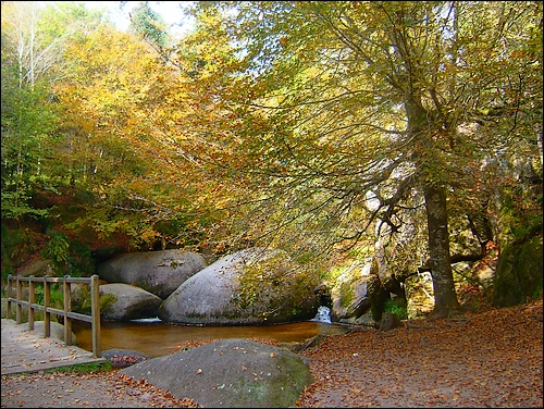 foret huelgoat proche gite de bretagne