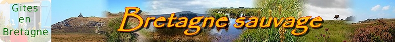bretagne sauvage avec landes, tourbi�res, for�ts avec champigons, lacs et rivi�res pour les amateurs de p�che