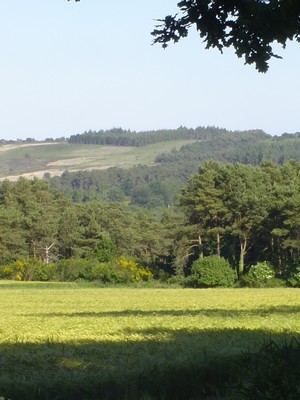Landes du cragou-vergam class�es espace remarquable 
