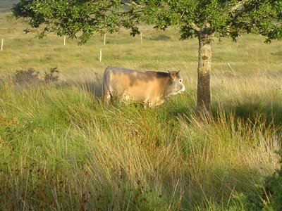 gite en bretagne proche site naturel protg de Bretagne