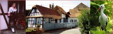 Gite en Alsace Chez Angele