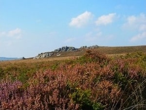 Le gite se trouve dans les Monts d'Arre, paysage sauvage avec des roches, des landes, des tourbires 